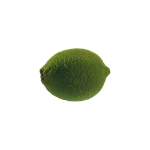 Lime.png