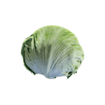 Lettuce.png